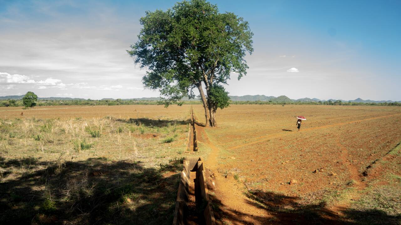 Au Zimbabwe, la sécheresse accroît les conflits entre l'Homme et la faune