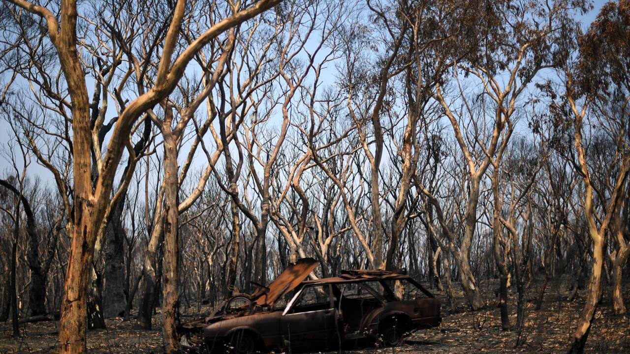 Incendies en Australie: l'industrie touristique redoute une désaffection