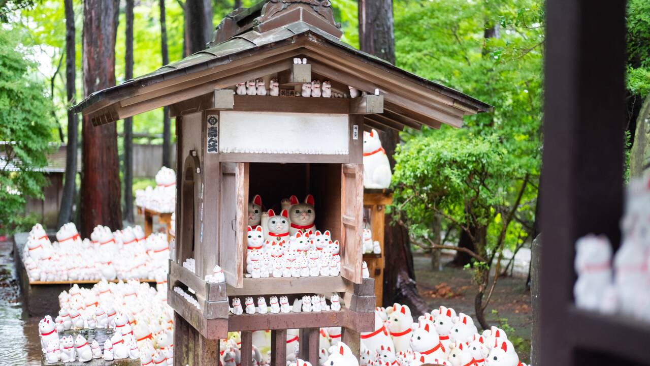 Japon : à Tokyo, six sanctuaires pas comme les autres