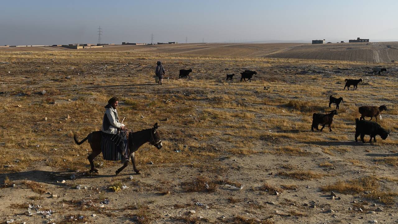 Les bergers afghans menacés par la sécheresse due au changement climatique