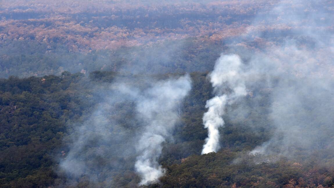 Les incendies en Australie ont détruit 20% des forêts