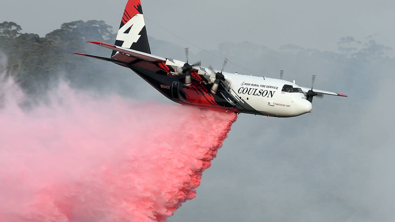 Australie Trois Americains Tues Dans Le Crash D Un Avion Bombardier D Eau Geo Fr