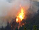 Tempête Hervé en Corse: plus de 1.000 hectares brûlés dans un incendie