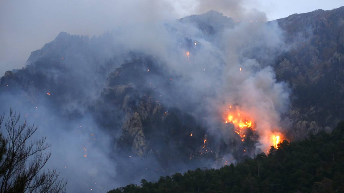 Incendie "contenu" en Corse, pompiers et bombardiers d'eau luttent toujours