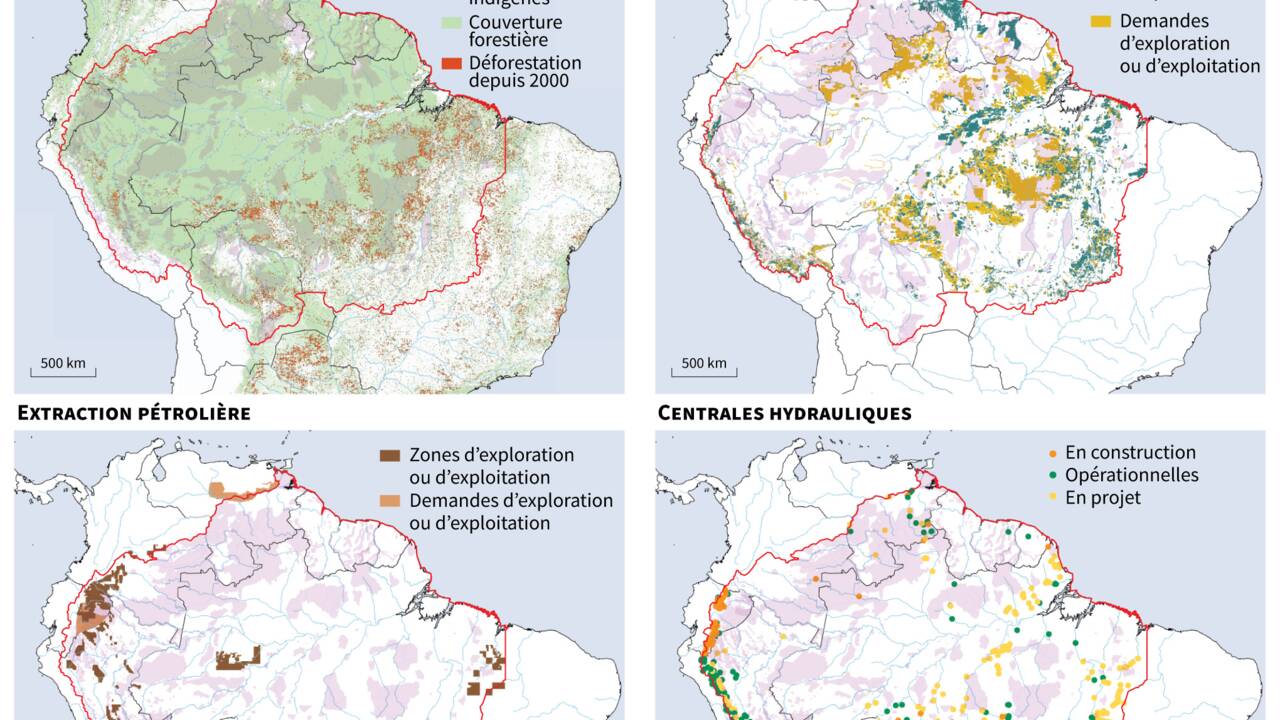L'Amazonie selon Bolsonaro, un "rêve" qui fait cauchemarder les indigènes