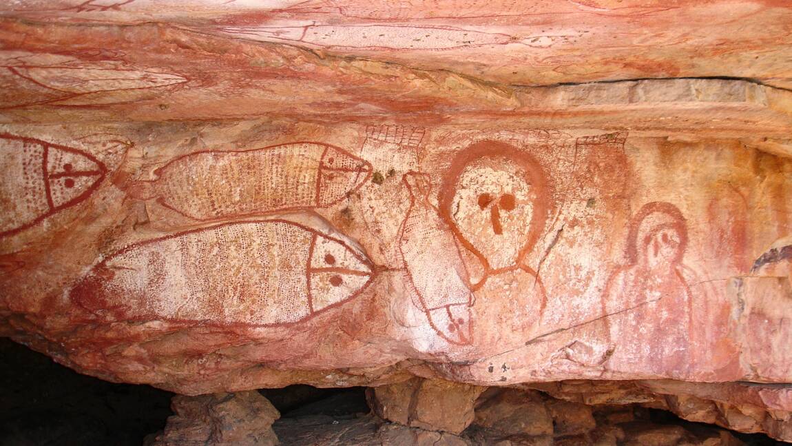 Australie : des peintures rupestres aborigènes datées grâce à des guêpes maçonnes