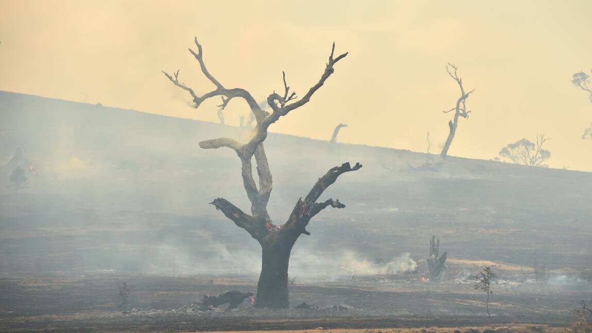 Australie: la pluie tombe, contribuant à mettre fin aux incendies