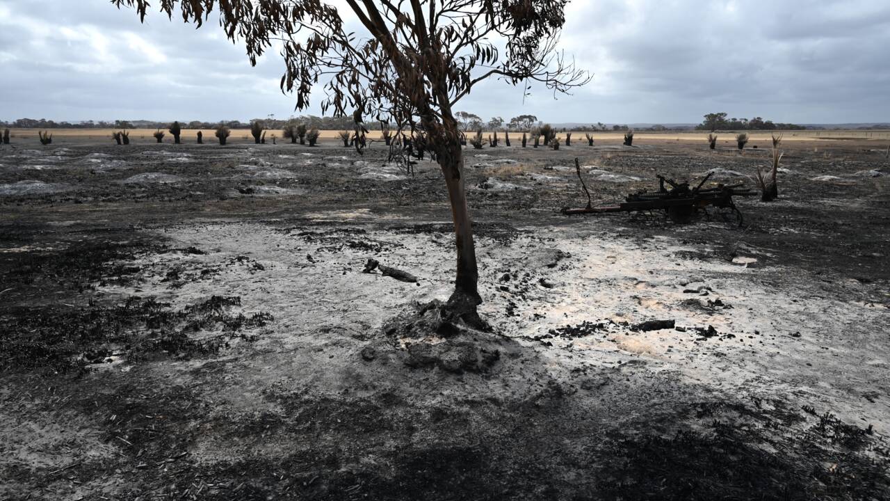 Australie: la pluie devrait mettre un terme à la crise des feux de forêts