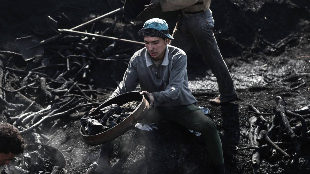En Egypte, les courageux artisans du charbon de bois