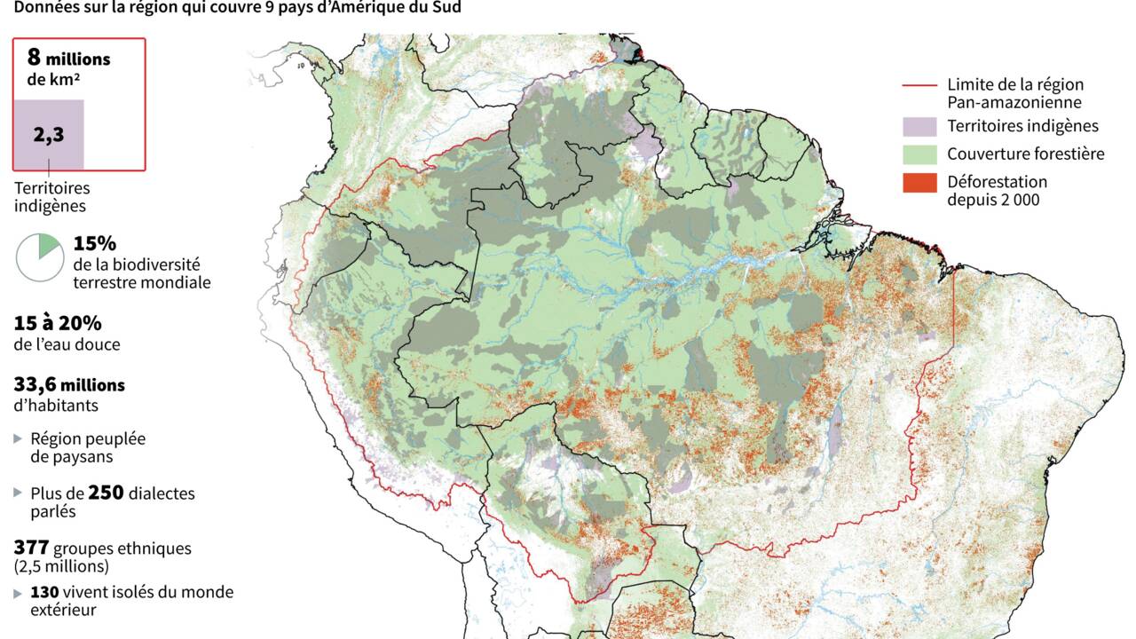 Amazonie brésilienne: très forte augmentation des incendies en juillet