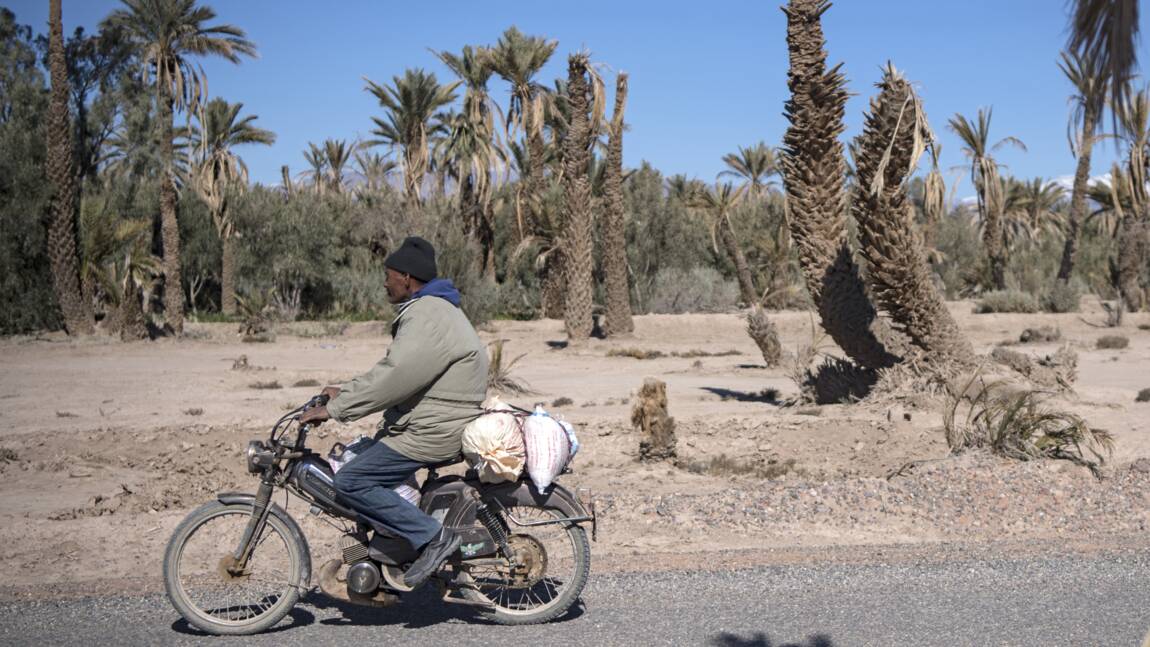 Dans le sud du Maroc, des oasis ancestrales menacées d'extinction