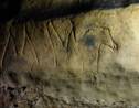 Des gravures vieilles de 15000 ans découvertes dans une grotte en Espagne