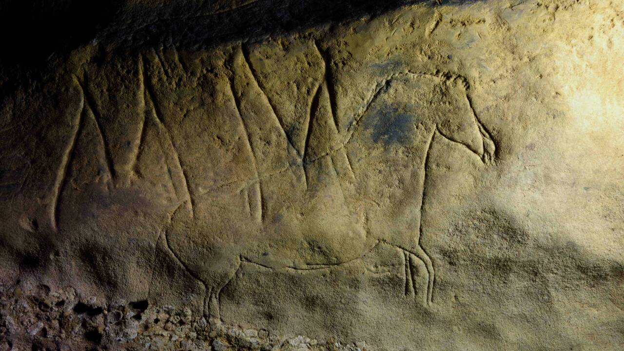 Des gravures vieilles de 15000 ans découvertes dans une grotte en Espagne