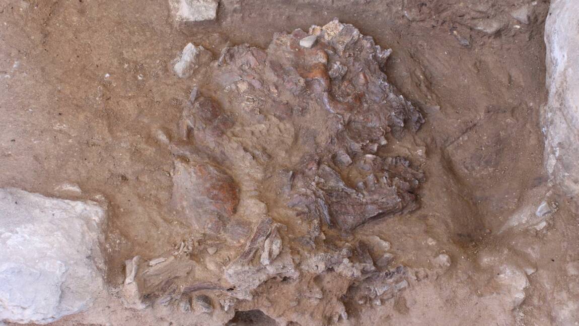 Un squelette vieux de 70000 ans relance le débat sur les pratiques funéraires de Néandertal
