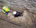 Des archéologues découvrent des « murs d’os » sous une cathédrale en Belgique