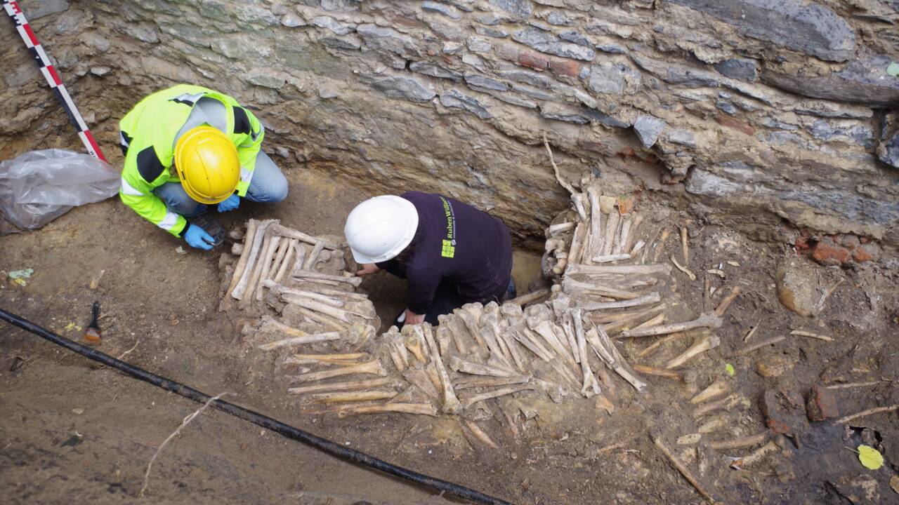 Des archéologues découvrent des « murs d’os » sous une cathédrale en Belgique