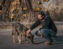 Tchernobyl : l'histoire méconnue des chiens qui ont survécu à la catastrophe nucléaire