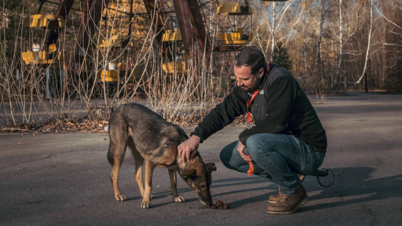 Tchernobyl : l'histoire méconnue des chiens qui ont survécu à la catastrophe nucléaire