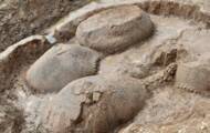 Enormes fósiles de armadillo de 20.000 años de antigüedad descubiertos en Argentina