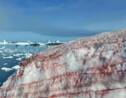 Une mystérieuse neige couleur rouge sang se répand en Antarctique