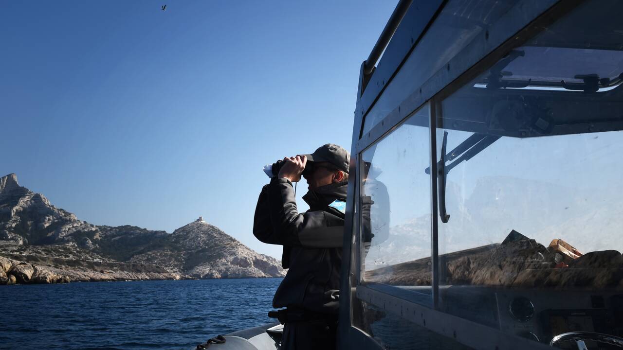 Marseille: des braconniers des mers doivent payer 385.000 euros de préjudice écologique