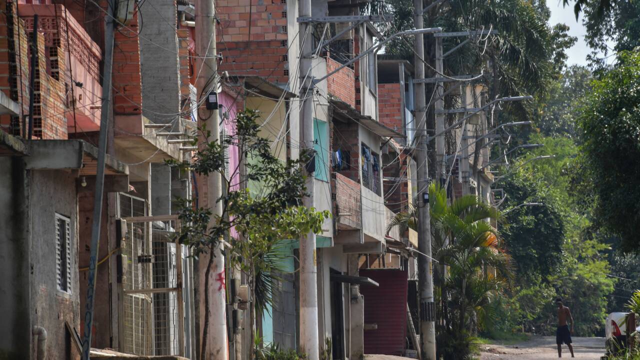 Près de Sao Paulo, la favela verte de "Lia l'espérance"
