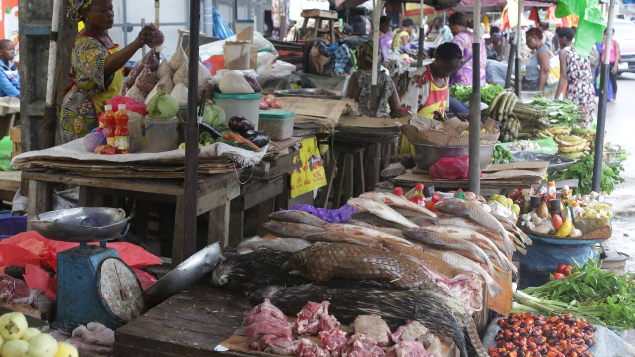 Au Gabon, les ventes de pangolin flanchent avec le coronavirus