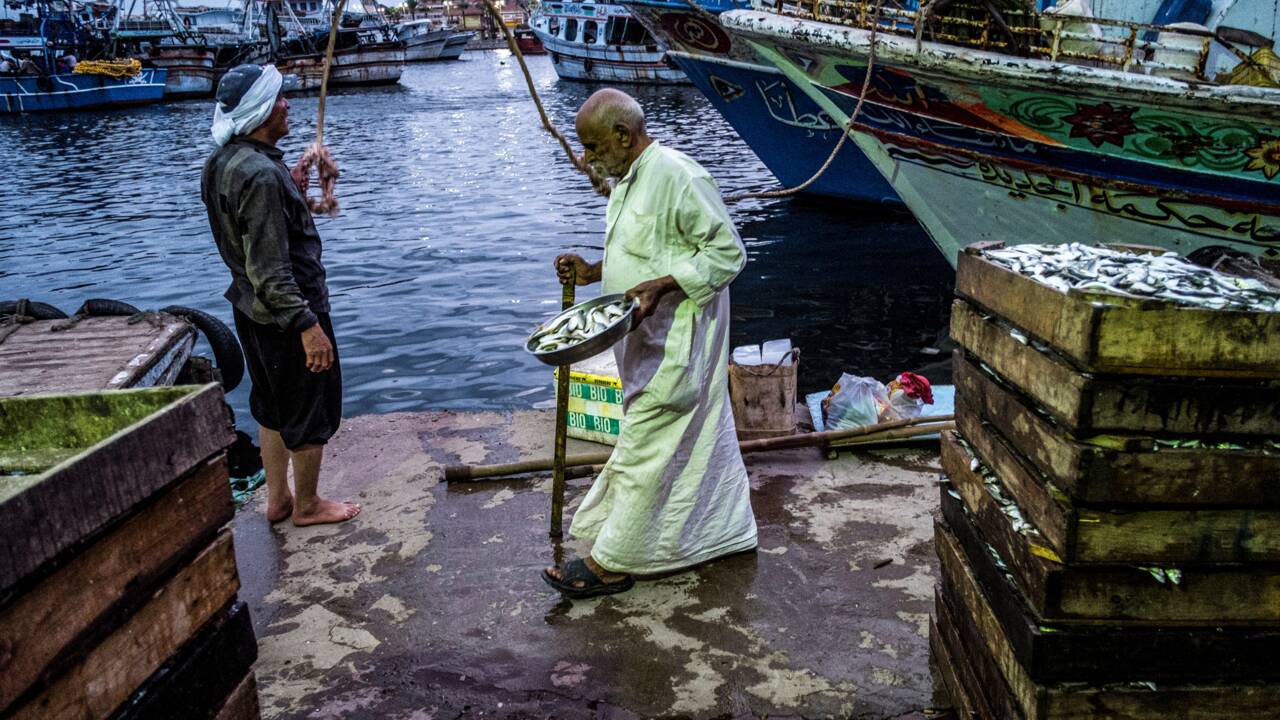 Menaces sur le Nil, source de vie pour des millions de riverains