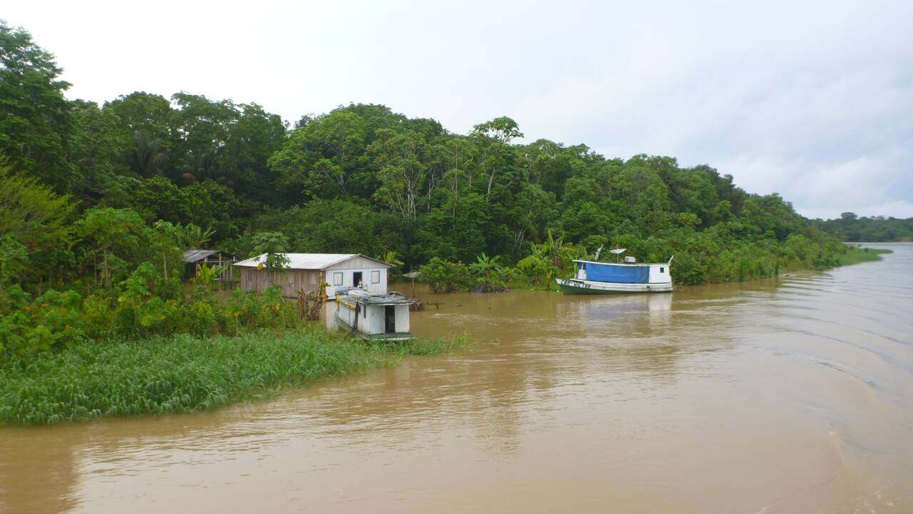 La peur du coronavirus arrive aux confins de l'Amazonie