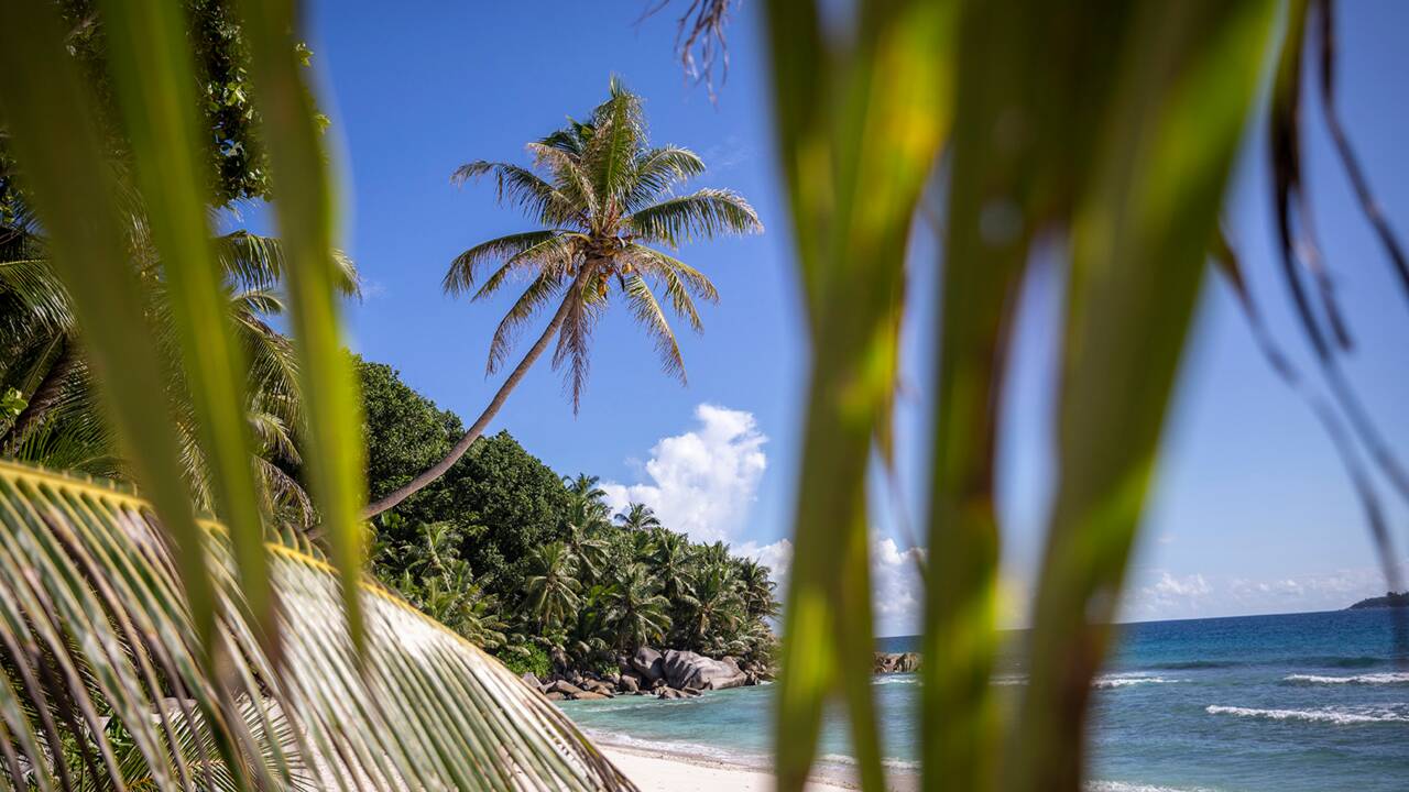 Podcast : les Seychelles au-delà de la carte postale