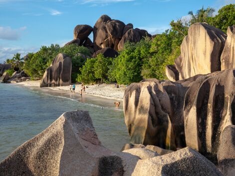 Seychelles : le sanctuaire de l'océan Indien
