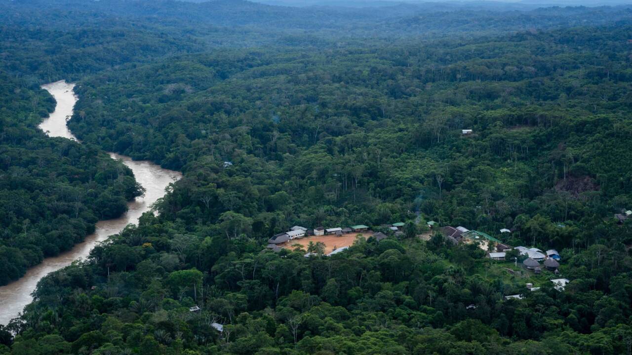 Amazonie : comment le peuple Sarayaku tente de se protéger du coronavirus