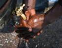 Sécheresse et réseau défectueux: en pleine épidémie, la Martinique manque d'eau