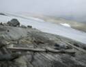 La fonte des glaces libère des centaines d'artéfacts d'une ancienne route viking en Norvège