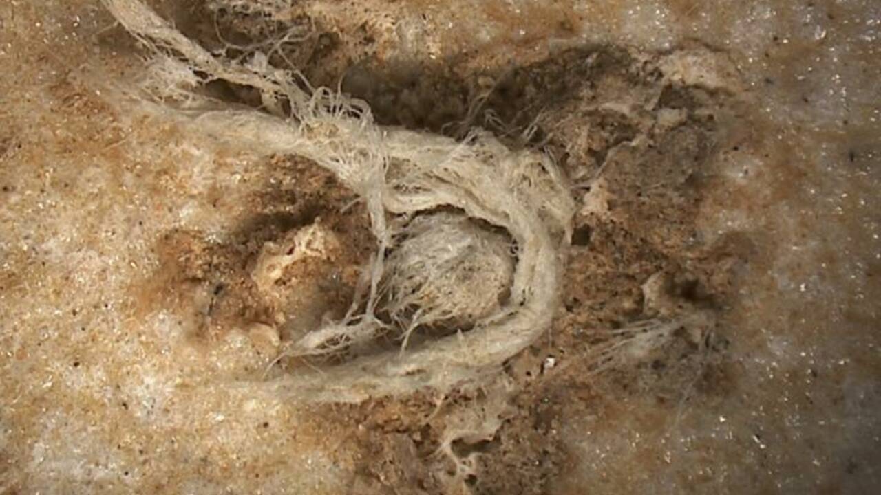 En Ardèche, un site révèle les restes d'une corde fabriquée il y a 40000 ans par Néandertal