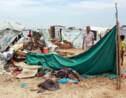 Yémen: 7 morts dans des inondations, craintes du coronavirus