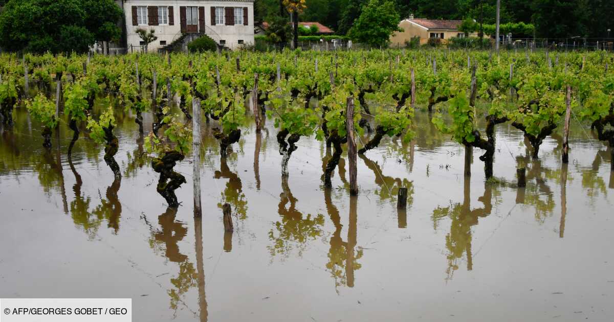 Pluies Et Inondations Landes Et Tarn Maintenus En Alerte Orange Geo Fr