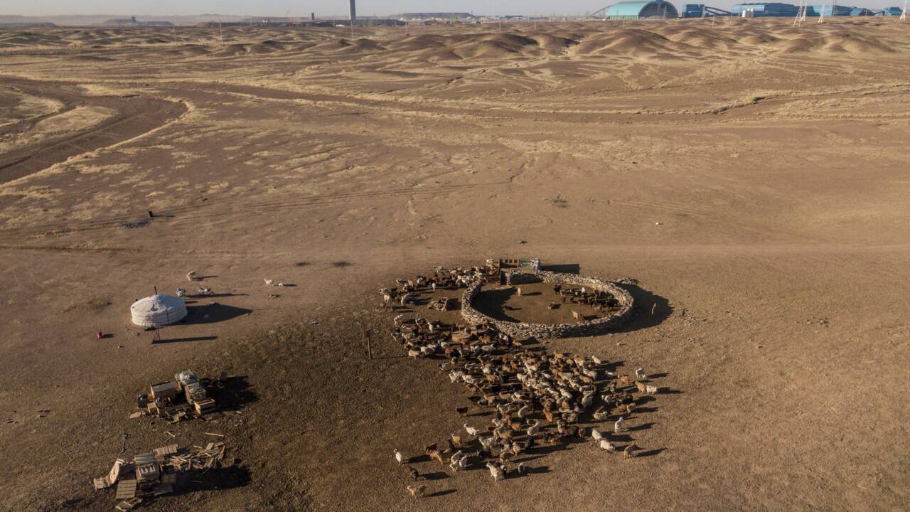 En Mongolie, avec ces nomades du désert de Gobi qui tiennent tête à un monstre minier