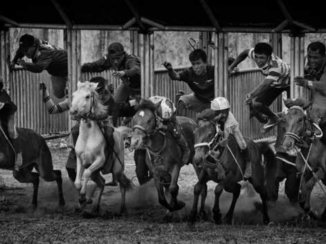 Indonésie : qui sont les enfants jockeys de Sumbawa ?