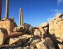 "En Syrie, restaurer Palmyre est encore possible"