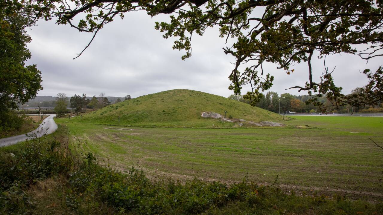 En Norvège, des archéologues vont exhumer un bateau viking enterré depuis plus de 1000 ans