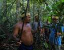 Brésil : chez des indigènes d'Amazonie, des plantes contre le coronavirus