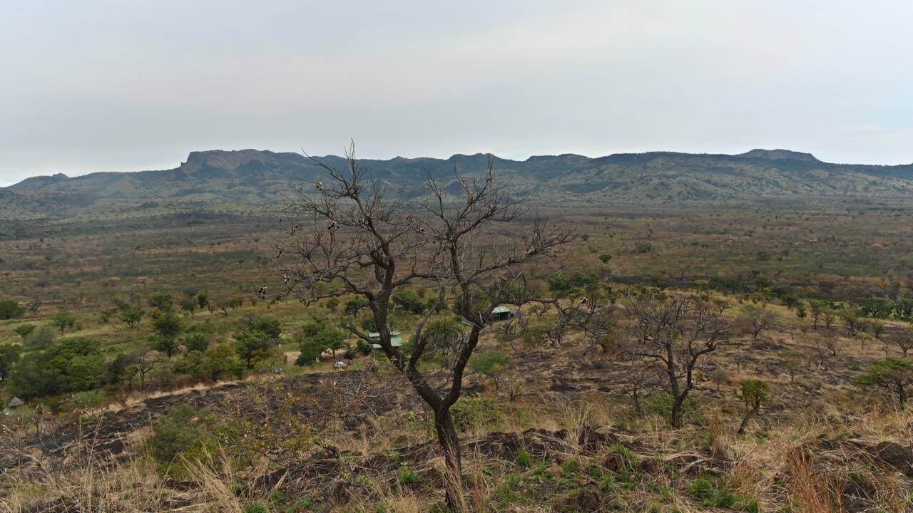 Au Soudan du Sud, la révélation d'un Eden inexploré de la biodiversité