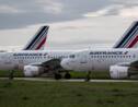 Air France-KLM augmente ses prix pour mettre du carburant "durable" dans ses avions