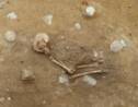 Un squelette de plus de 4000 ans découvert en Allemagne intrigue les archéologues