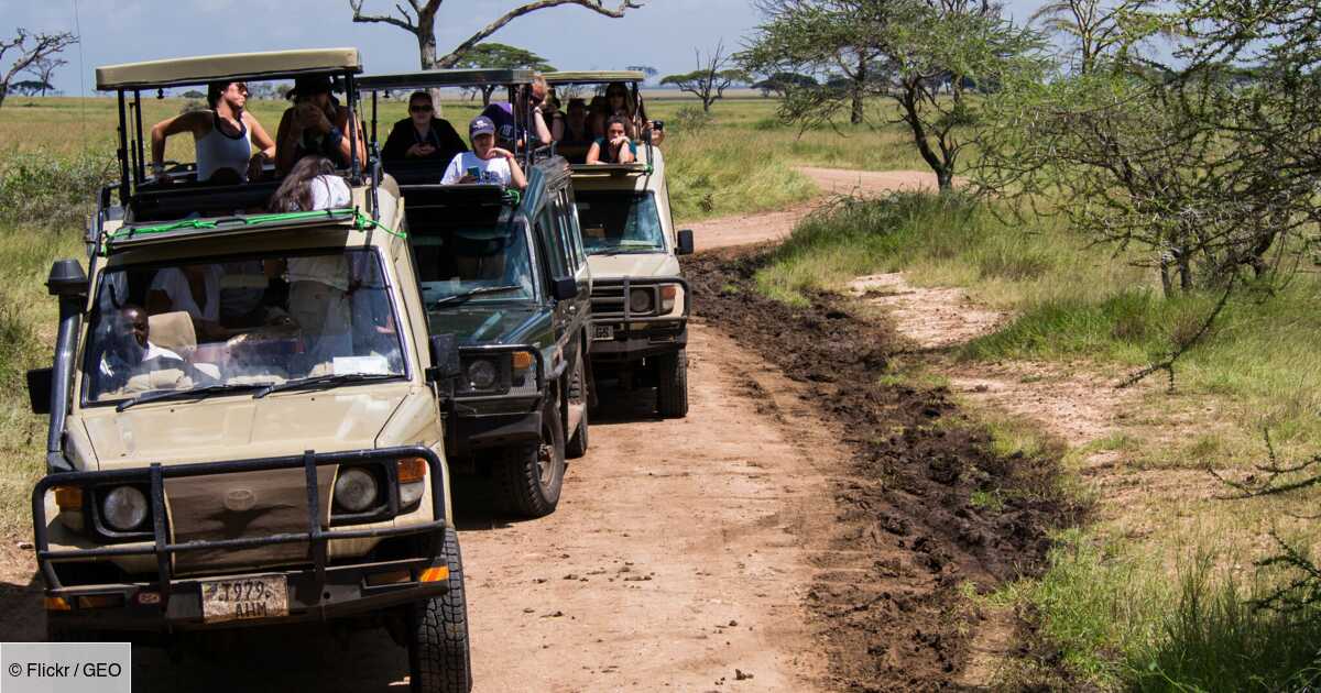 ranger safari tours