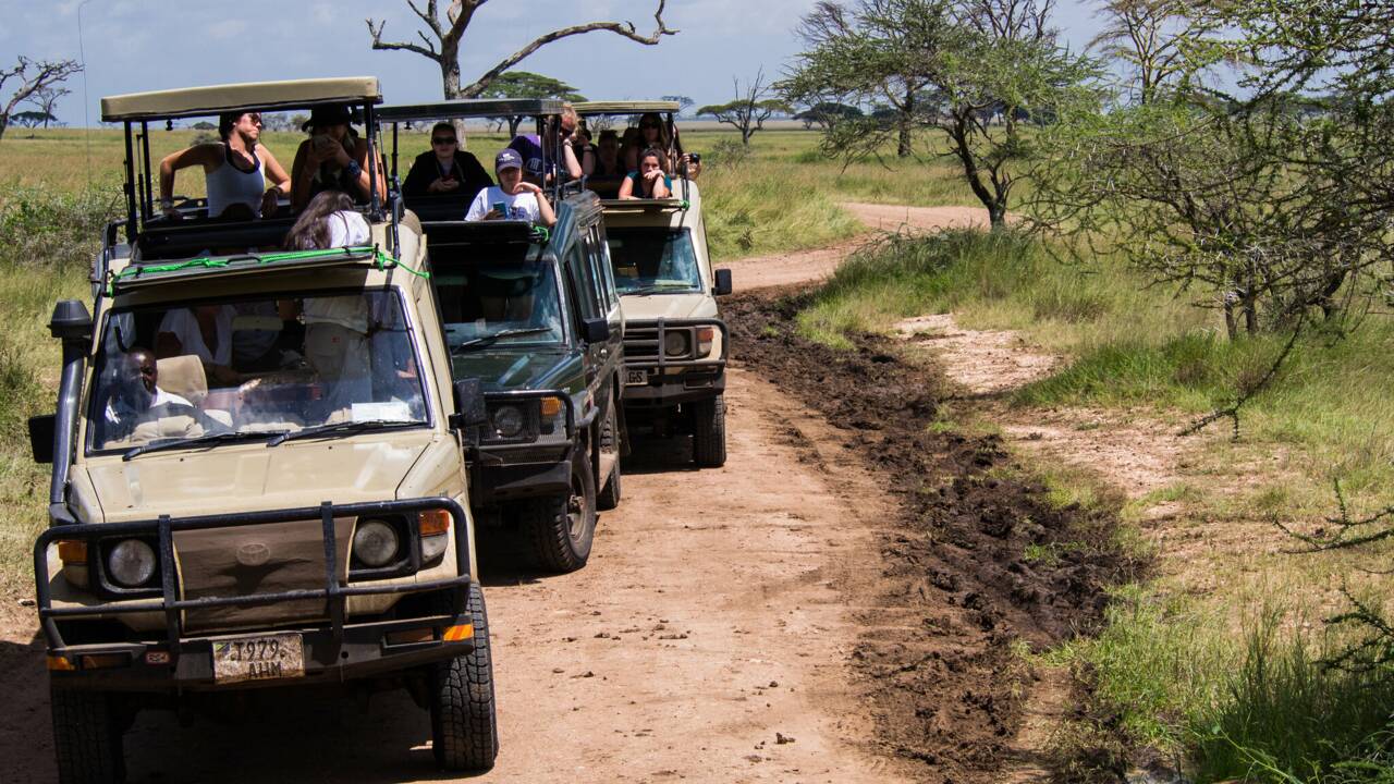 Entre safari et protection des animaux, au cœur du métier de ranger en Afrique du Sud