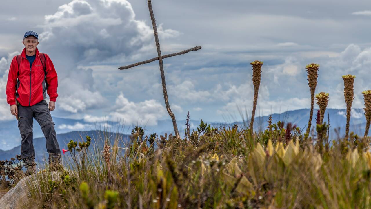 Découverte en Colombie d'une plante essentielle pour la préservation de l'eau