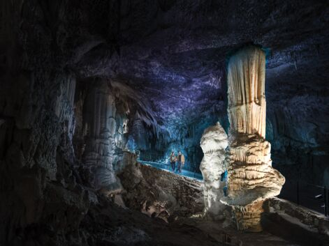 Des "bébés dragons" présentés pour la première fois dans une grotte de Slovénie
