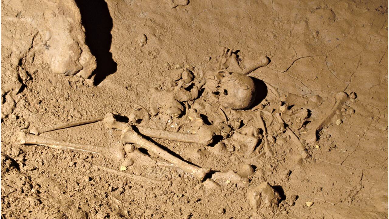 En Dordogne, une grotte révèle des squelettes vieux de 30000 ans déposés dans des nids d'ours